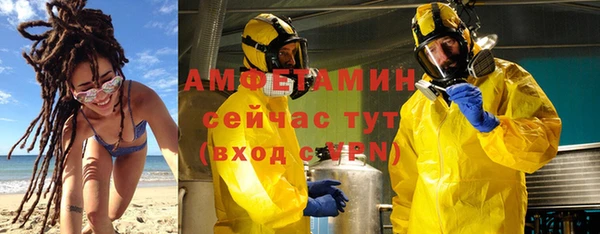 сатива Армянск