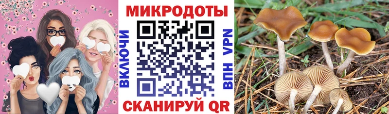 omg как зайти  купить  цена  Верхотурье  Псилоцибиновые грибы мухоморы 